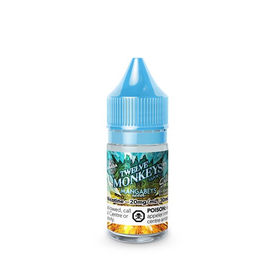 TWELVE MONKEYS ICED SALT NIC 30ML